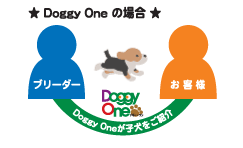 Doggy Oneのルート